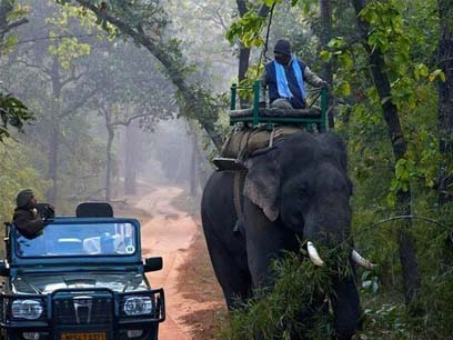 corbett fun tour jeep safari