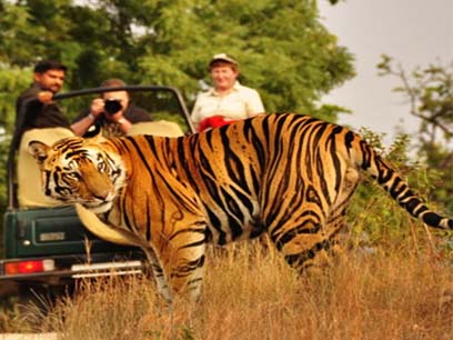 corbett holiday jeep safari