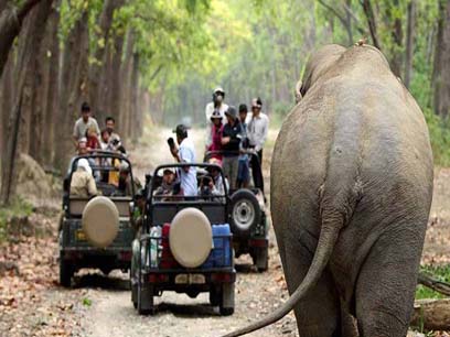 corbett holiday tour with canter safari