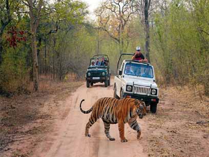 corbett jeep safari